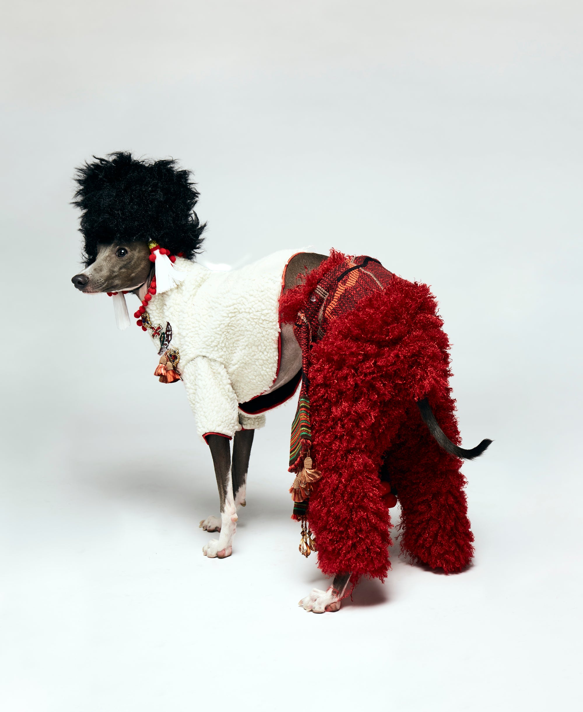 Vanya Velour's Drag Race Look Book