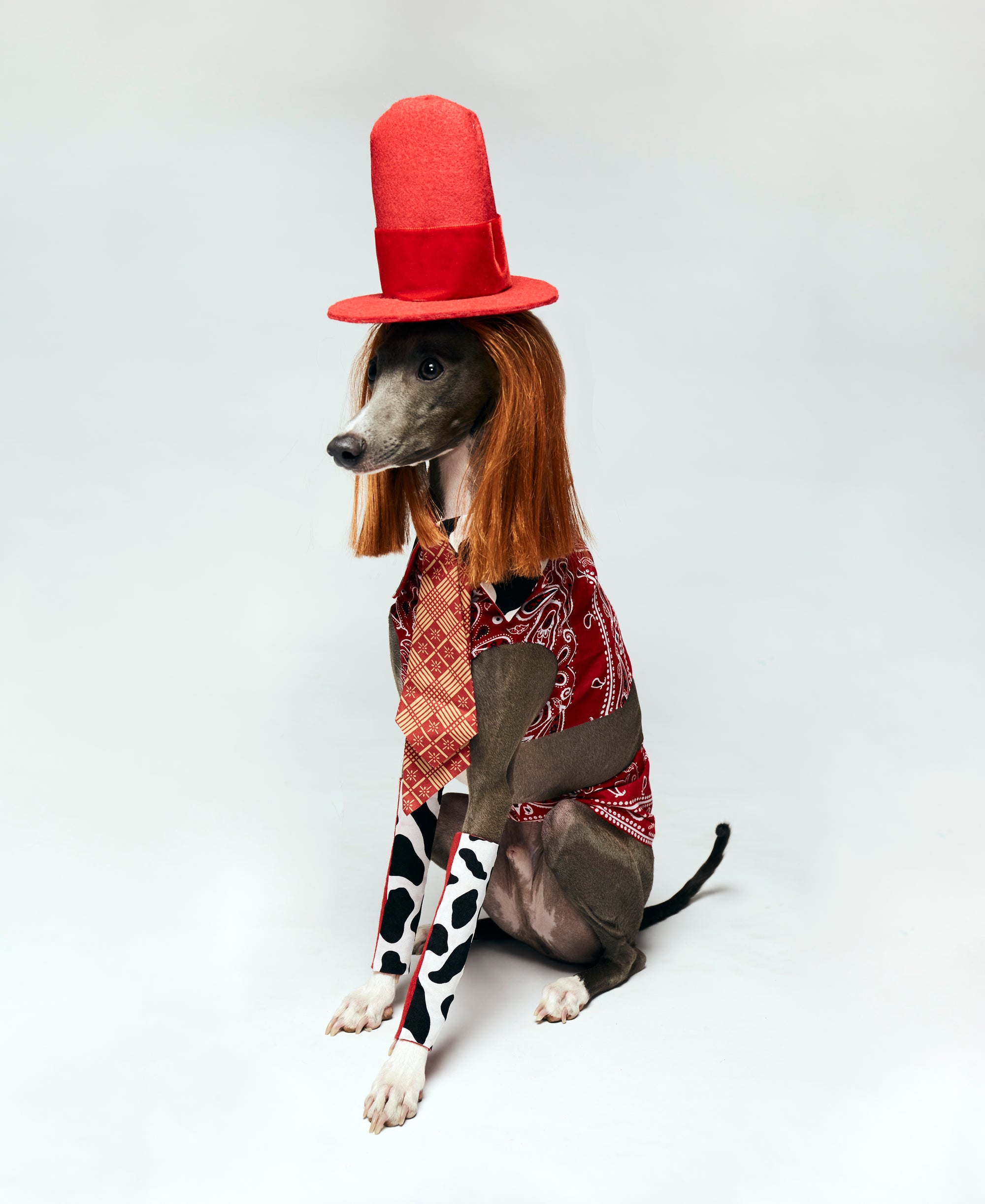 Vanya Velour's Drag Race Look Book